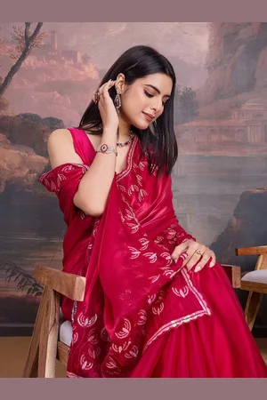 House of Pataudi Embellished Sequinned Saree