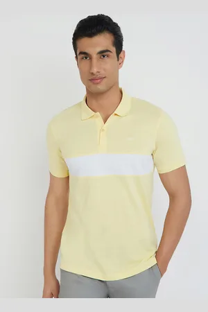Park Avenue Cotton Rich Striped Polo Collar Slim Fit T-shirt