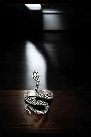 Roadster The Lifestyle Co Stylish Snake Shape Finger Ring