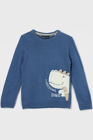 Lifestyle Boys Cotton Embroidered Fashion Pullover