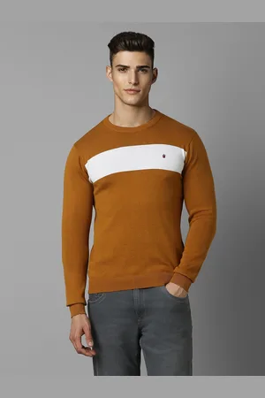 Louis Philippe Men Brown & White Colourblocked Pullover