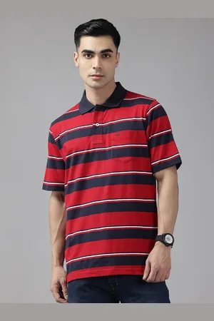 ColorPlus Polo Collar Striped T-Shirt