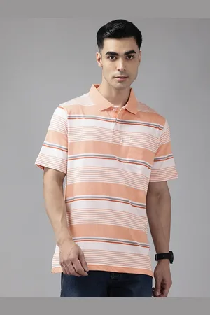 ColorPlus Polo Collar Striped T-shirt