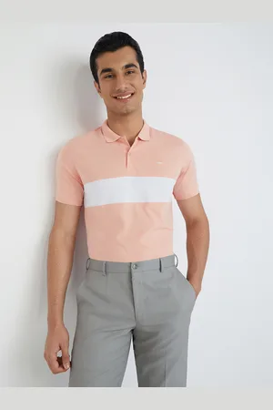 Park Avenue Striped Slim Fit Polo Collar T-shirt