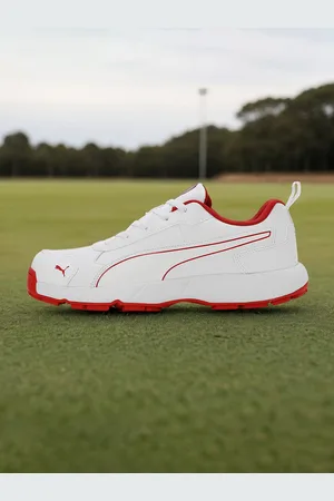 PUMA Men Cricket Classic Cat Sports Shoes