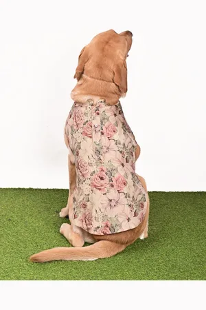 Vastramay Graphic Printed Ethnic Jacket Dog Dress