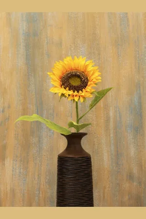 Home Centre Botanical Plastic Single Piece Sunflower