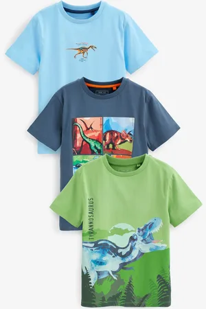 Next Boys Pack of 3 Printed Pure Cotton T-shirts