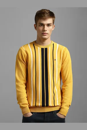 Louis Philippe Men Pure Cotton Striped Pullover Sweater