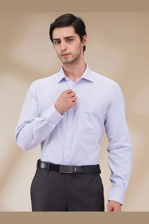 Park Avenue Men Spread Collar Micro Checked Cotton Formal Shirt