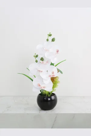 Home Centre White Orchid Artificial Flowers In Pot