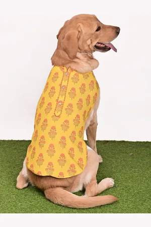 Vastramay Graphic Printed Ethnic Rayon Dog Dress