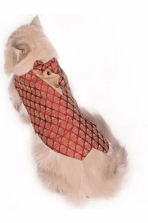 Vastramay Self Design Dog Dress Tuxedo With Attached Shirt And Bow