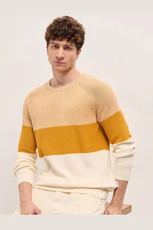 The Bear House Men Colourblocked Round Neck Sweatshirt