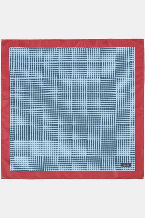 Arrow Men Red & Blue Printed Pocket Square