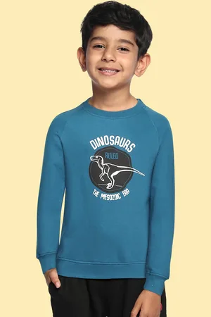 Miss & Chief Boys Blue Printed Pure Cotton Sweatshirt