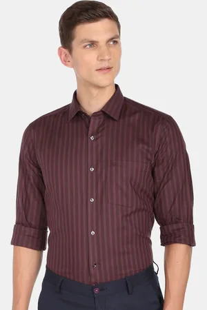 Arrow Men Regular Fit Striped Cotton Formal Shirt