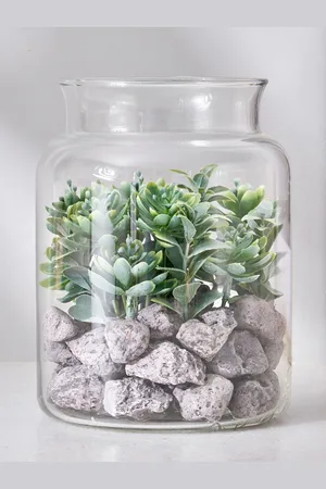 Home Centre Corsica Transparent Succulent in Glass Jar