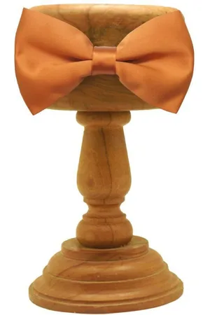 The Tie Hub Men Bow Tie