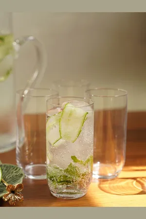 Pure Home and Living Transparent 6 Pieces Clear Glass Highball Glasses