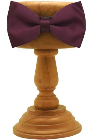 The Tie Hub Men Bow Tie