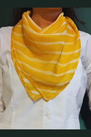 PURVAJA Women Striped Scarf