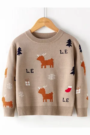 Stylecast Brown Boys Graphic Printed Ribbed Pullover