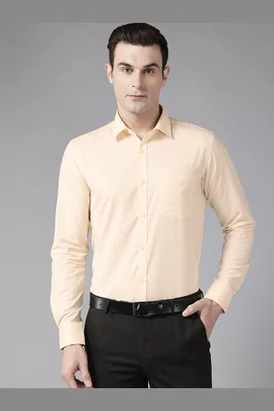Park Avenue Slim Fit Micro Checks Formal Shirt