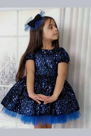 Miss & Chief Embellished Embroidered Velvet A-Line Dress