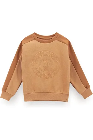 Ralph Lauren Boys Brand Logo Embroidered Pullover Sweatshirt