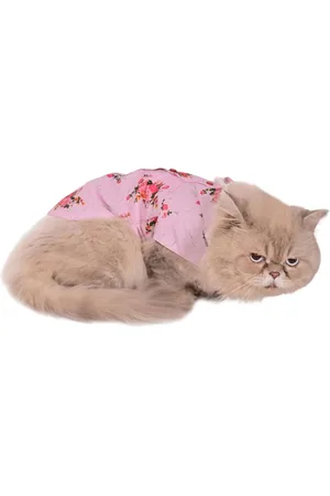 Vastramay Allover Graphic Printed Cat Shirt