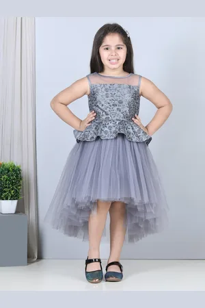 Toy Balloon Kids Girls Net Floral Embriodery Net Fit & Flare Dress