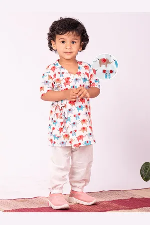 Vastramay Boys Animal Printed V-Neck Regular Kurta with Patiala