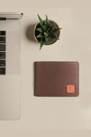 Hidesign Men Brown Solid Leather Two Fold Wallet