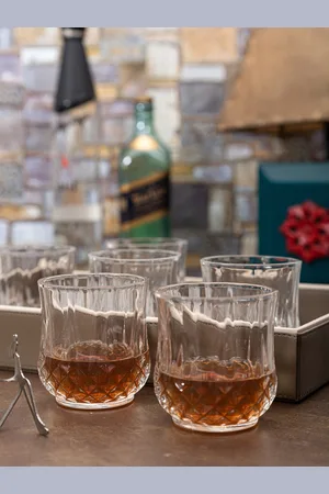 Roxx 6 Pieces Glass Long Champ Whiskey Glasses