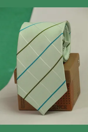Tossido Men Checked Broad Tie
