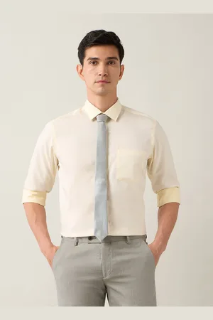 Arrow Men Classic Opaque Formal Shirt