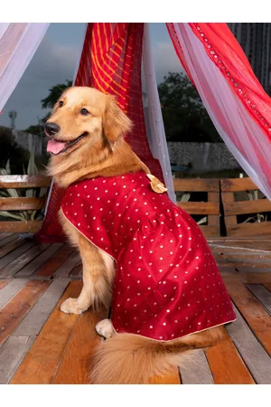 Vastramay Maroon & Gold Self Design Dog Dress