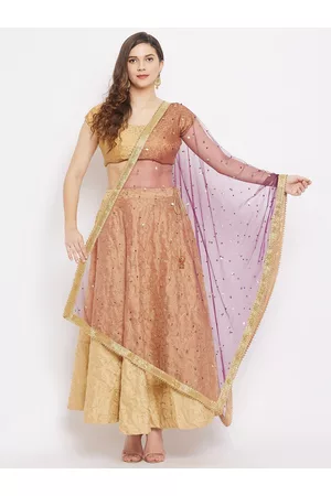 Clora Creation Burgundy & Brown Embroidered Dupatta with Sequinned
