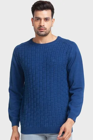 ColorPlus Men Plus Size Blue Pullover