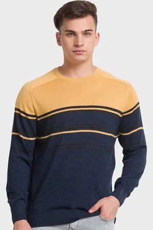 ColorPlus Men Striped Round Neck Colourblocked Long Sleeves Wool Pullover