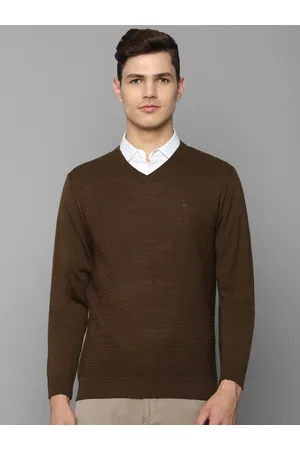 Louis Philippe Men Brown Solid V-Neck Cotton Pullover