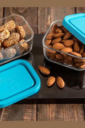 Bormioli Rocco Frigoverre Set of 2 Blue Lid Rectangle Containers