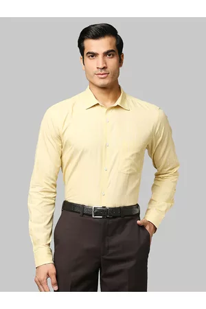 Park Avenue Men Beige Slim Fit Striped Formal Shirt