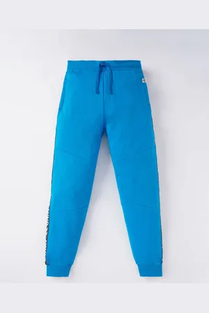 edheads Boys Blue Regular Fit Cotton Joggers