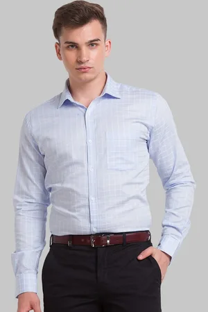 Park Avenue Men Blue Micro Checks Checked Formal Shirt