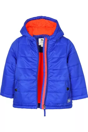 Cherry Crumble Boys Blue Solid Padded Jacket