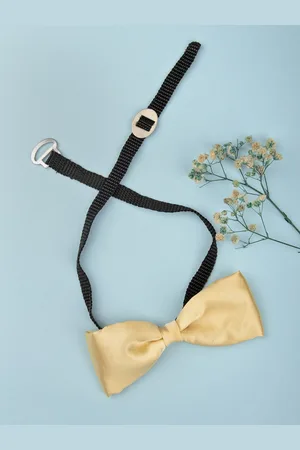 Arendelle Boys Gold-Toned Satin Bow Tie