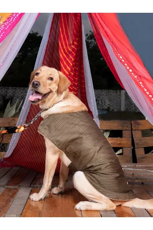 Vastramay Black Woven Silk Blend Ethnic Dog Jacket