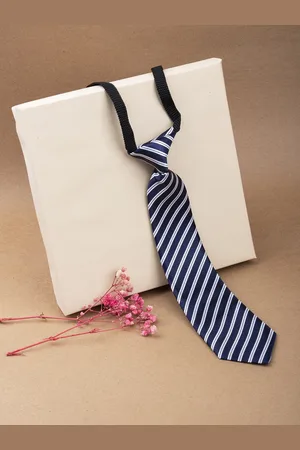 Arendelle Boys Blue & White Striped Satin Adjustable Skinny Tie
